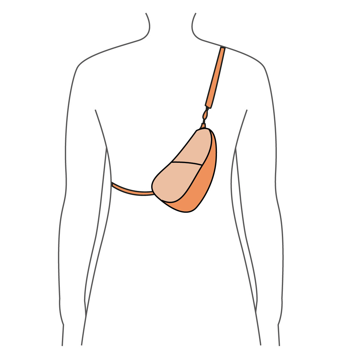 Size Guide The Healthy Back Bag